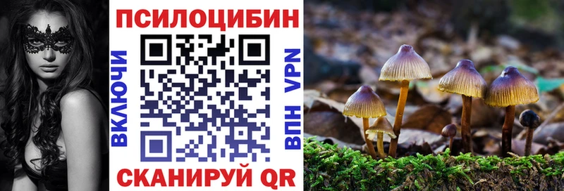 где купить наркоту  Весьегонск  Галлюциногенные грибы ЛСД 